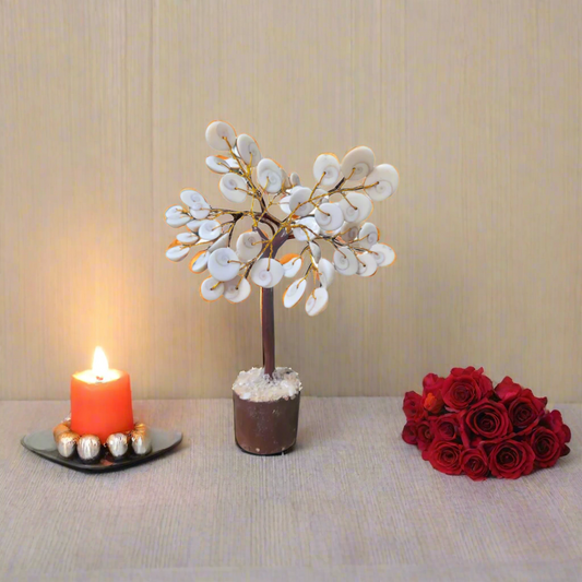 Navratri Special Original Gomti Chakra 6".