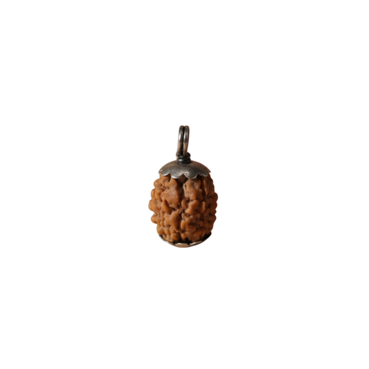 3 Mukhi Nepali Rudraksha Silver Pendant – Original Teen Mukhi Bead for Confidence, Energy & Past Karma Cleansing (Without Chain)