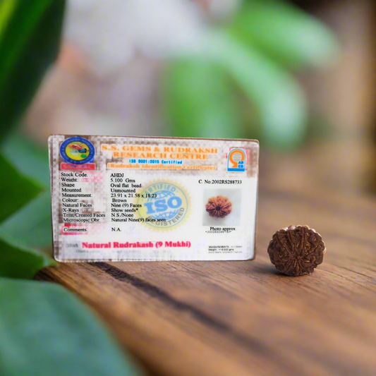 9 Mukhi Rudraksha | | 📿𝗦𝗵𝗿𝗮𝘃𝗮𝗻 𝗦𝗽𝗲𝗰𝗶𝗮𝗹📿