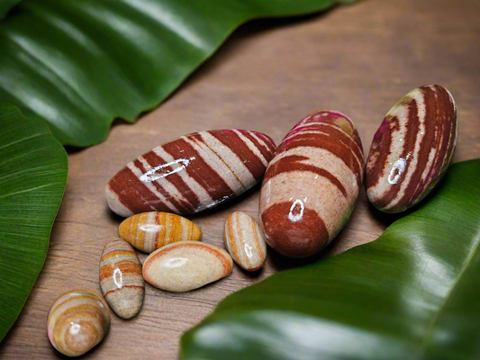 Enchanting Krystals Original Narmadeshwar Shivlingam Natural Lingam Stone Found from Narmada River | Sacred Idol for Puja, Meditation & Spiritual Energy.