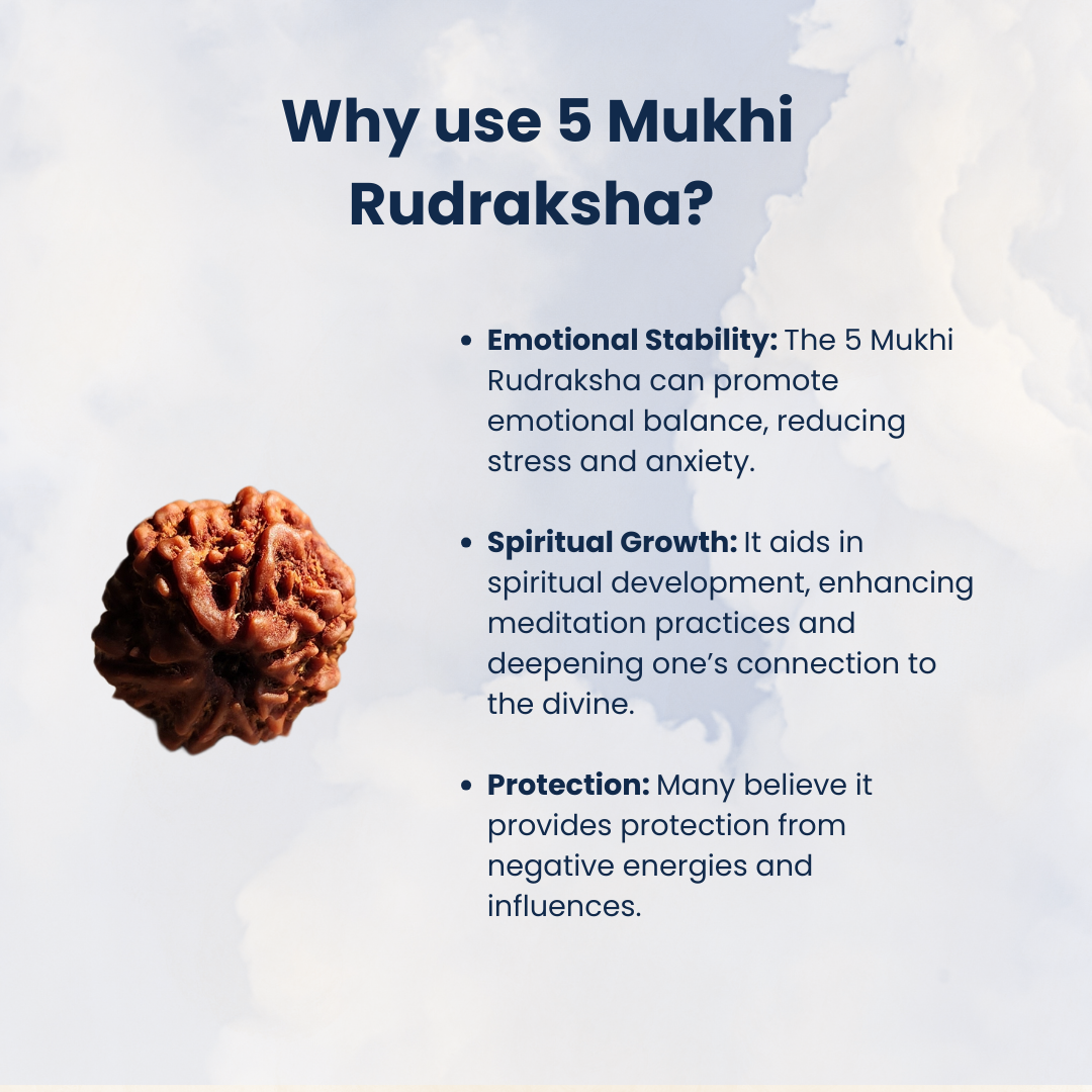 5 Mukhi Rudraksha, Certified | | 📿𝗦𝗵𝗿𝗮𝘃𝗮𝗻 𝗦𝗽𝗲𝗰𝗶𝗮𝗹📿