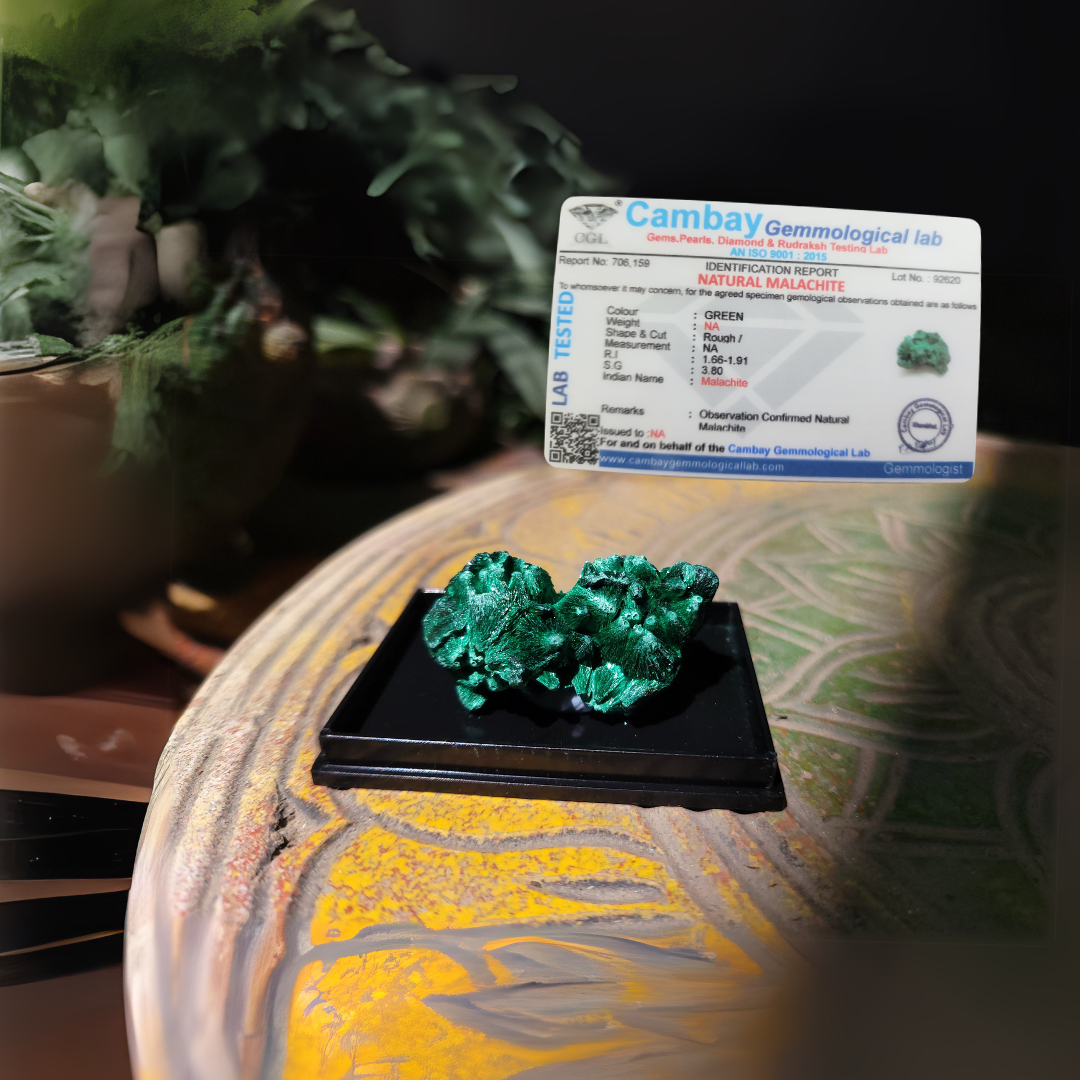 Rare Velvet Malachite Crystal, Certified, Silky fibrous specimen Decor