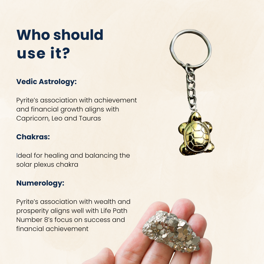 Pyrite Tortoise Keychain Certified