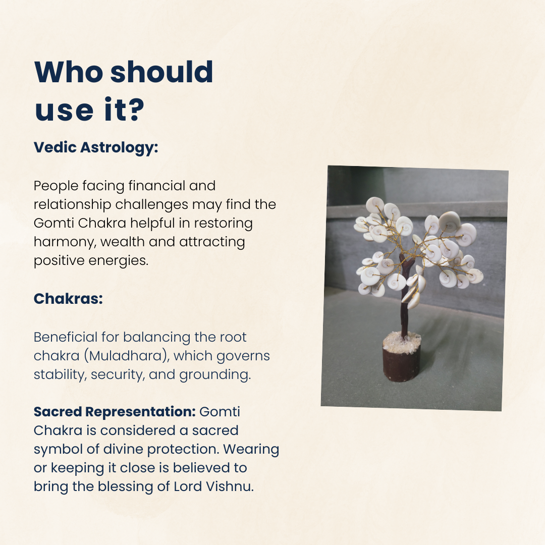 Navratri Special Original Gomti Chakra 6".