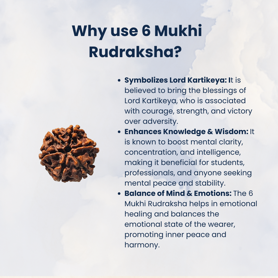 6 Mukhi Rudraksha, Certified | ๐ฟ๐ฆ๐ต๐ฟ๐ฎ๐๐ฎ๐ป ๐ฆ๐ฝ๐ฒ๐ฐ๐ถ๐ฎ๐น๐ฟ