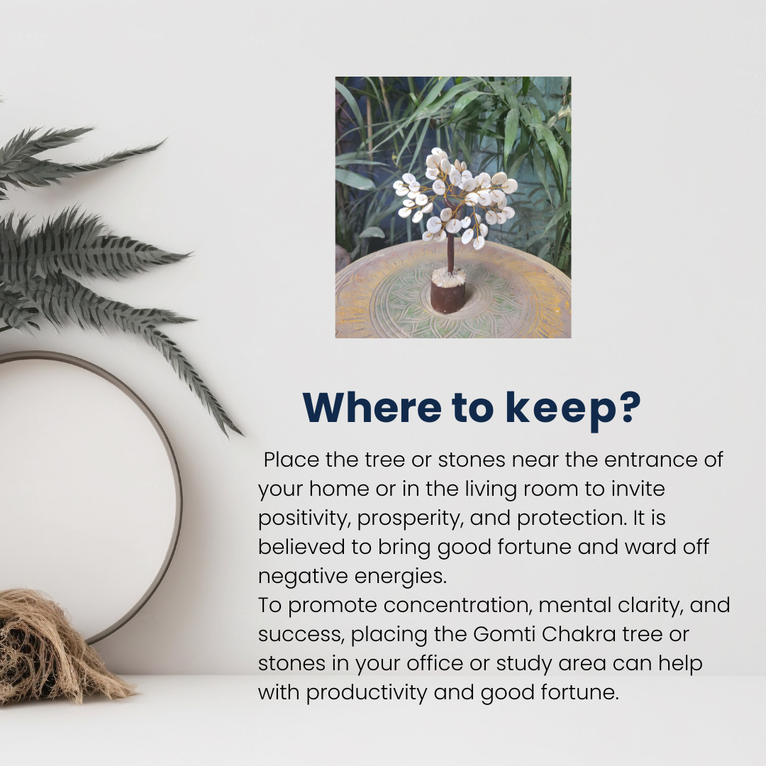 Navratri Special Original Gomti Chakra 6".