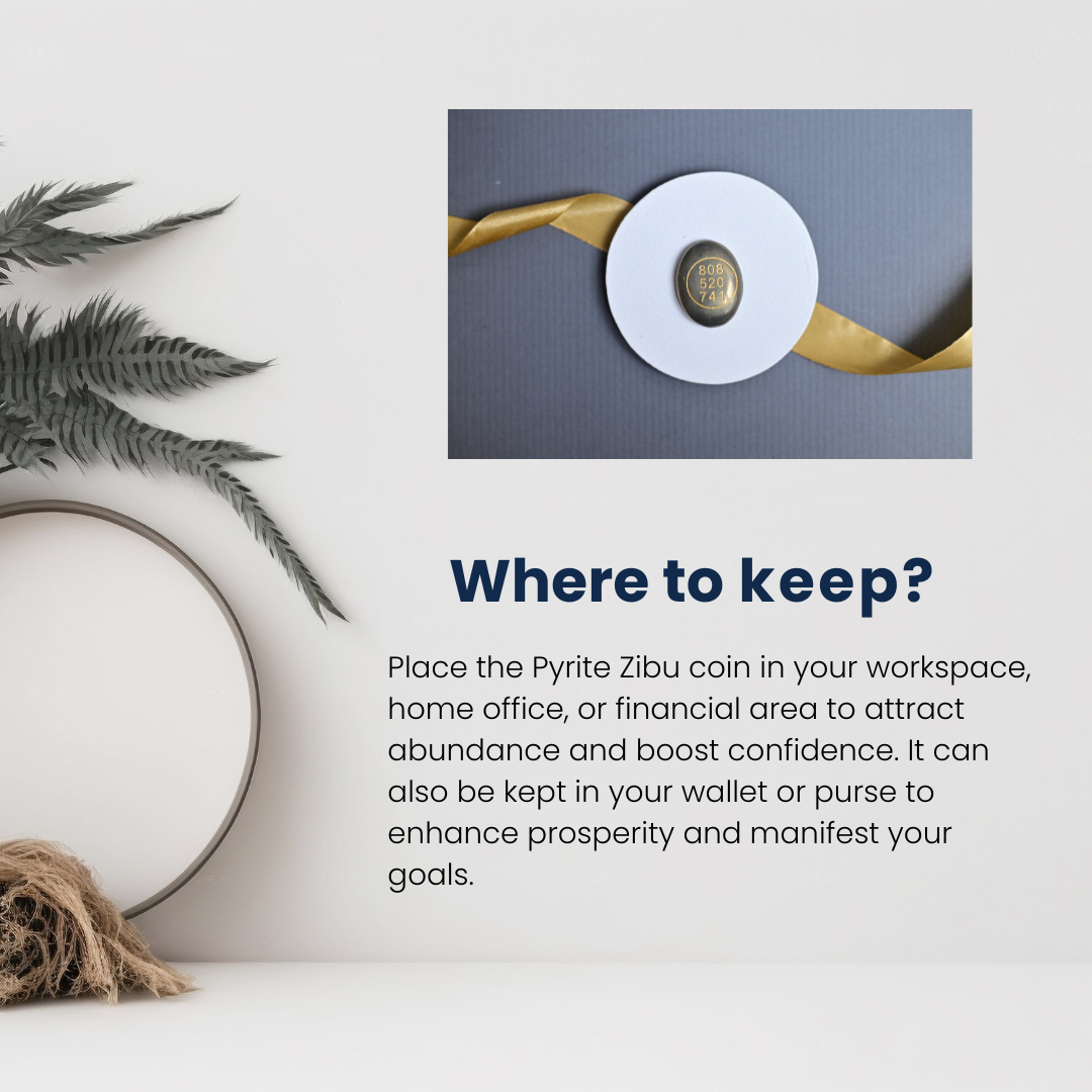 Pyrite Zibu Symbols Coin