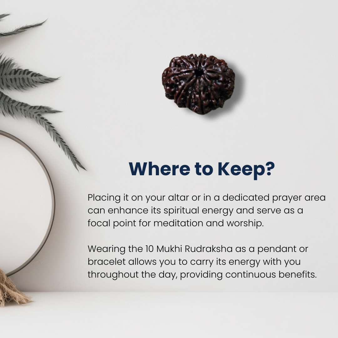 11 मुखी रुद्राक्ष