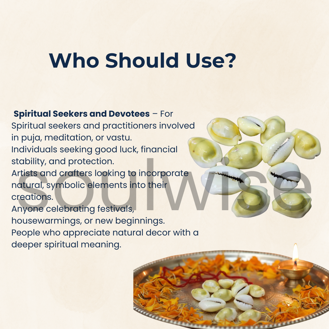 Soulwise Diwali Yellow Kaudi | पीली कौड़ी  Set of 11 for Diwali pooja, brings financial stability, wealth, and abundance, Removal of Obstacles.