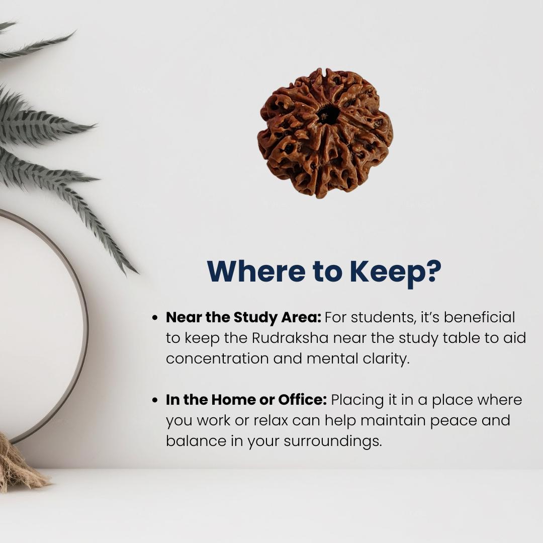 5 Mukhi Rudraksha, Certified | | 📿𝗦𝗵𝗿𝗮𝘃𝗮𝗻 𝗦𝗽𝗲𝗰𝗶𝗮𝗹📿