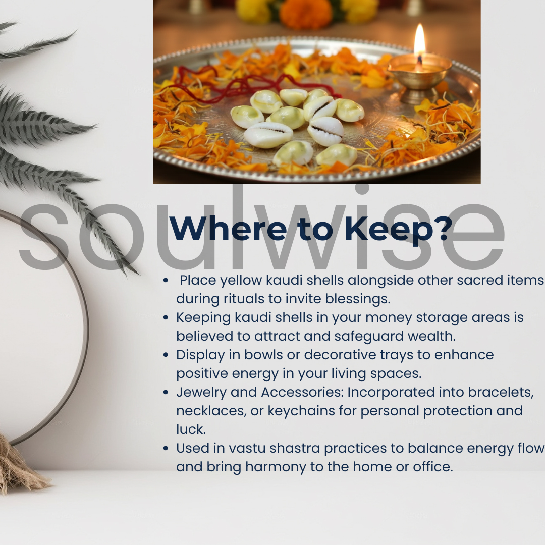 Soulwise Diwali Yellow Kaudi | पीली कौड़ी  Set of 11 for Diwali pooja, brings financial stability, wealth, and abundance, Removal of Obstacles.