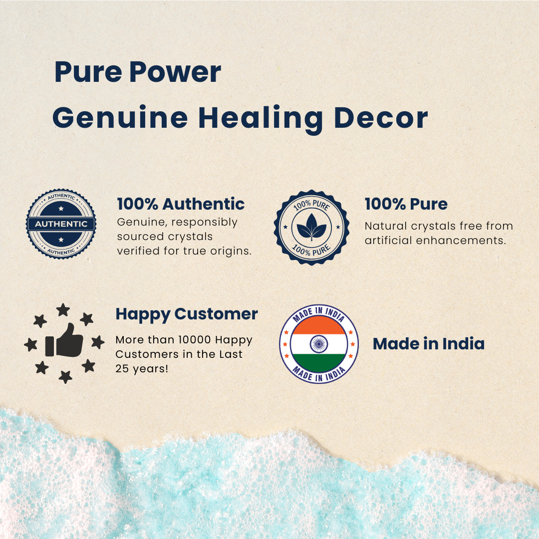 Navratri Special Original Gomti Chakra 6".