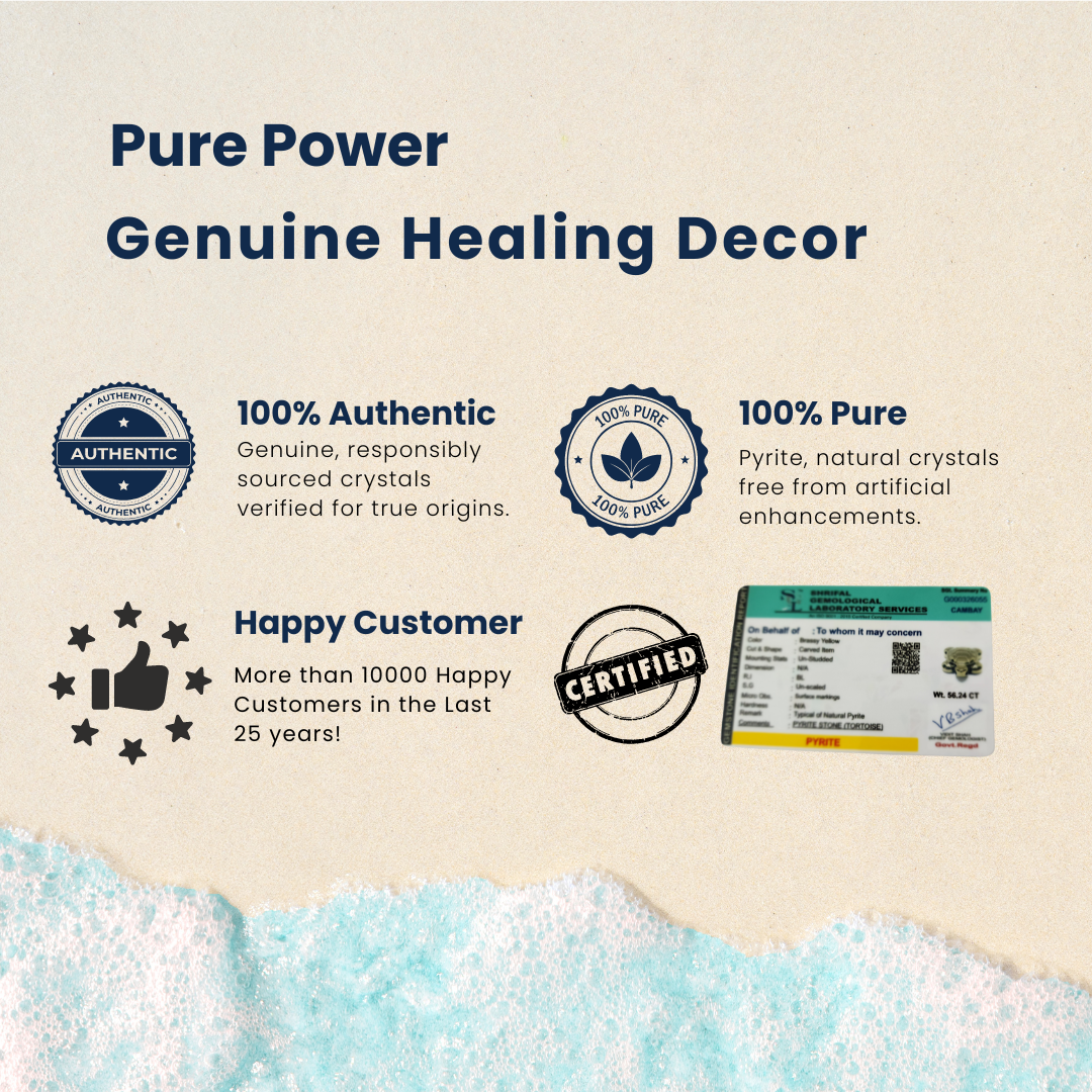 पाइराइट कछुआ पेंडेंट प्रमाणित