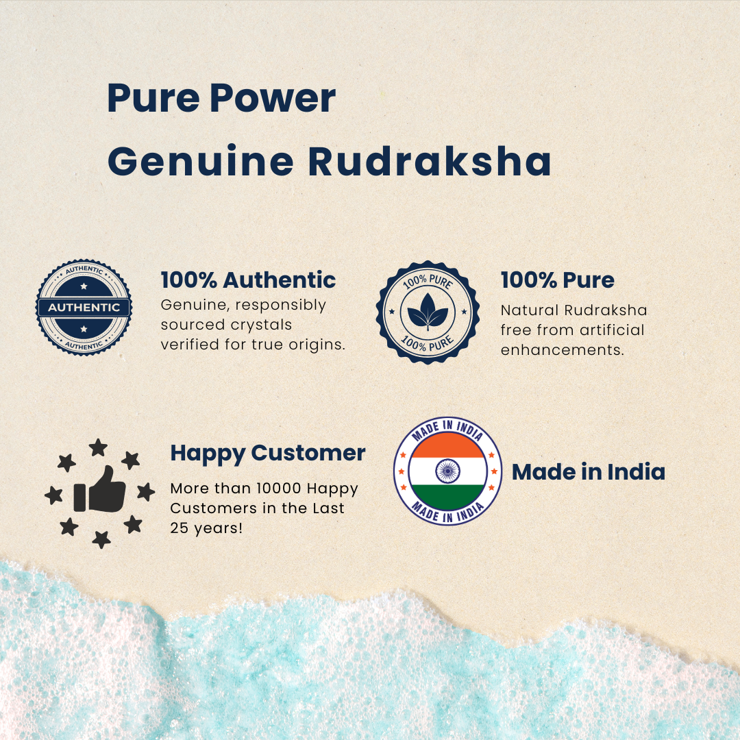 5 Mukhi Rudraksha, Certified | | 📿𝗦𝗵𝗿𝗮𝘃𝗮𝗻 𝗦𝗽𝗲𝗰𝗶𝗮𝗹📿