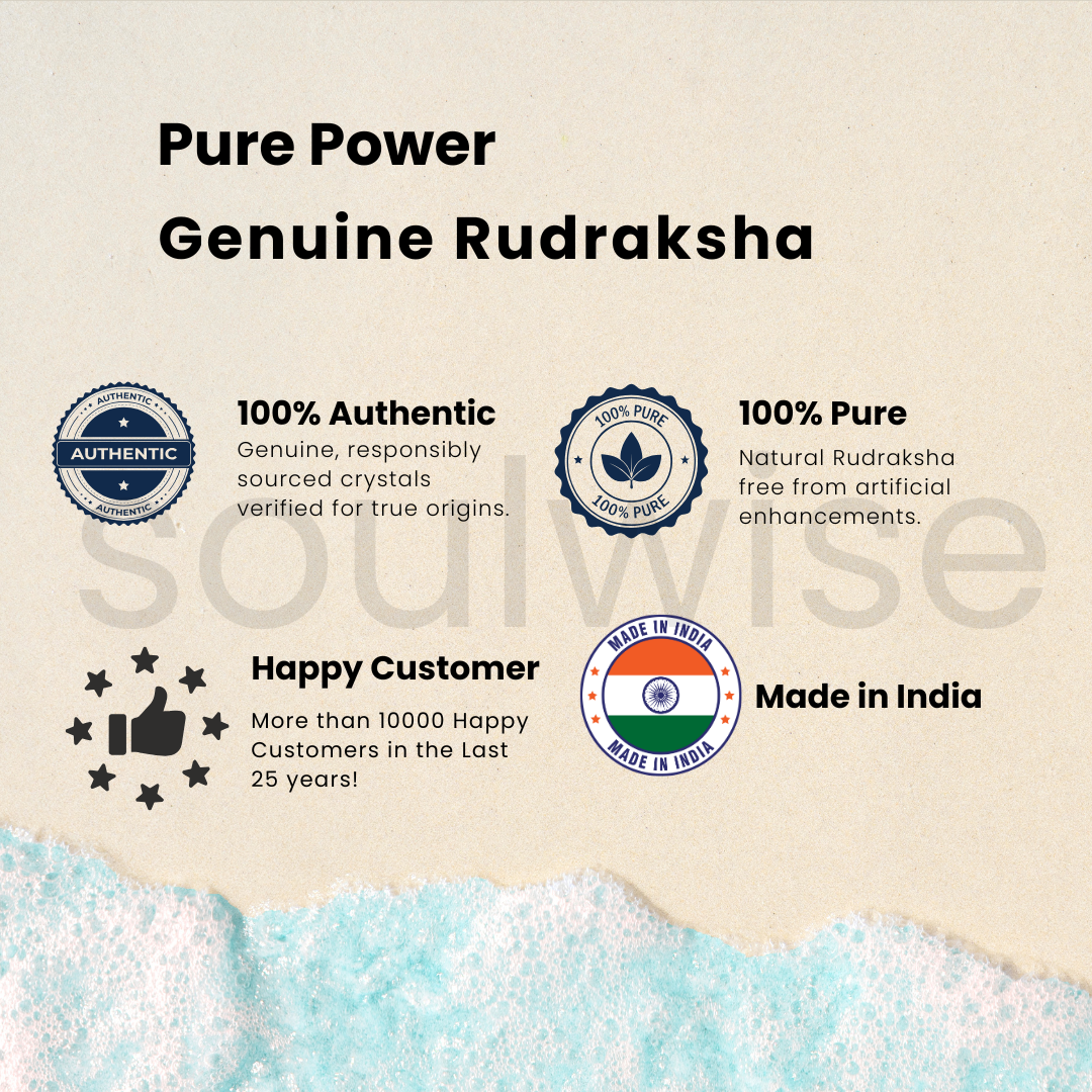 Natural 3 Mukhi Rudraksha | Genuine Nepali Three Mukhi Rudraksha Bead for Confidence, Health & Positivity | Energized & Ready to Wear