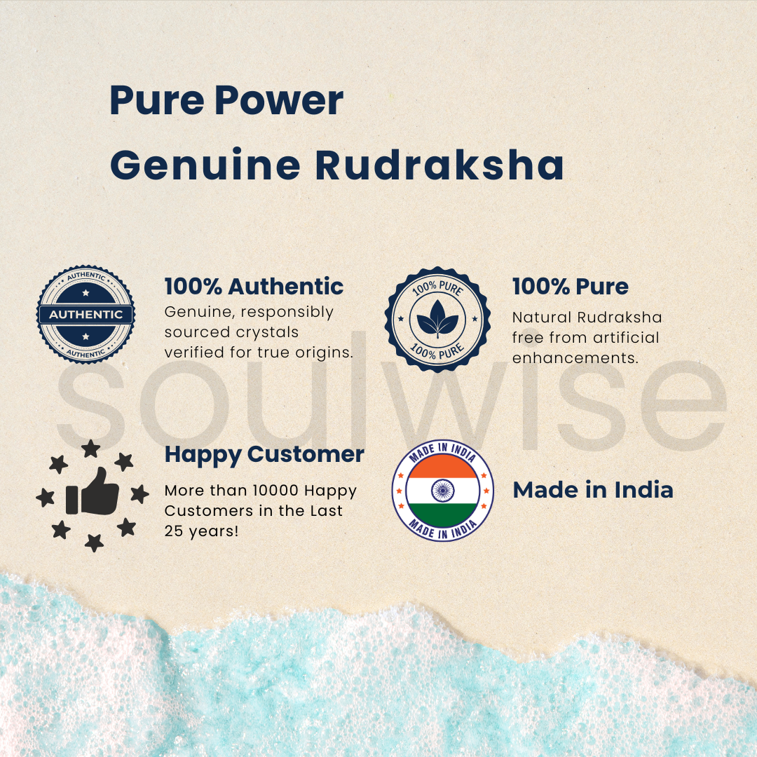 Natural 12 Mukhi Rudraksha (Nepal Origin) | Twelve Face Rudraksha for Confidence, Leadership & Success | Certified & Energized