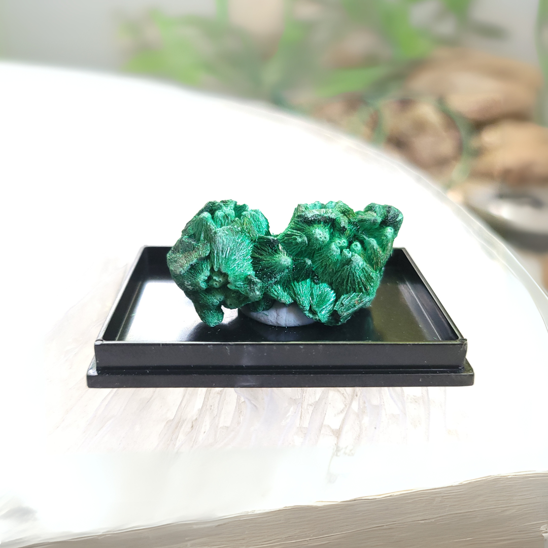 Rare Velvet Malachite Crystal, Certified, Silky fibrous specimen Decor