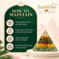 Money Magnet Orgone Pyramid – Symbolic Wealth & Prosperity Showpiece for Home, Office Desk & Spiritual Gifting