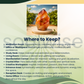 Certified Carnelian Flame – Crystal Flame Sculpture in Different Sizes for Home Décor, Meditation & Spiritual Gifting