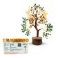 Money Magnet Tree – 8 Inch Crystal Wealth Tree