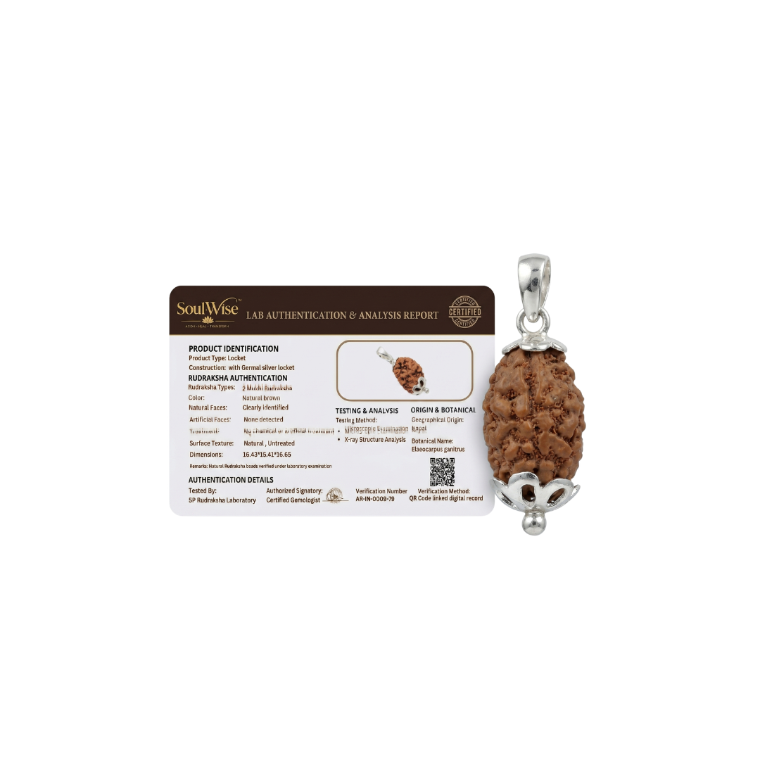 Natural 2 Mukhi Rudraksha Pendant with Silver-Tone Cap | Sacred Spiritual Pendant for Protection, Meditation & Positive Energy