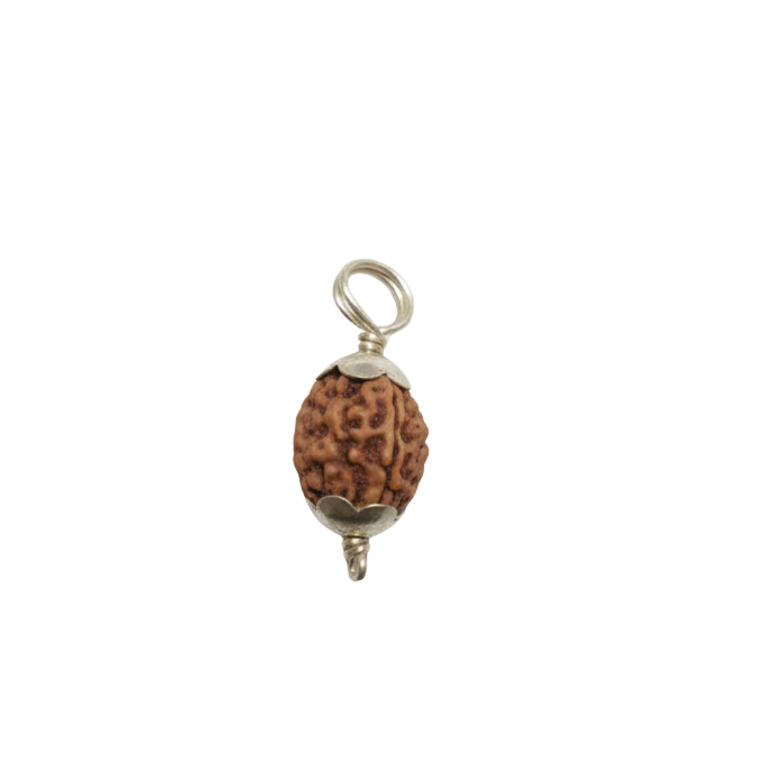 Original 3 Mukhi Indonesian Rudraksha Silver Pendant (Without Chain) – Teen Mukhi Agni Energy Bead – Indonesia Origin