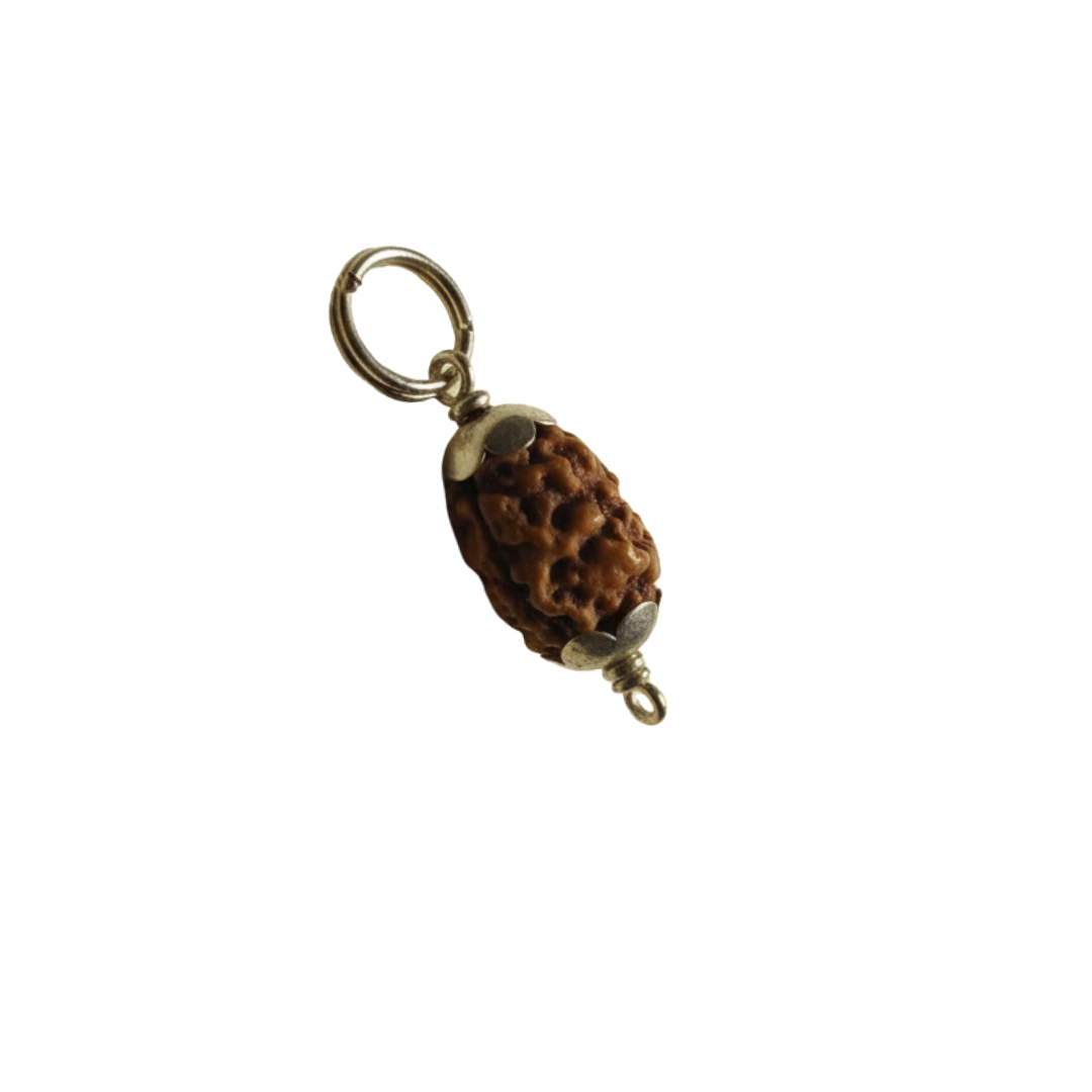 Original 2 Mukhi Indonesian Rudraksha Silver Pendant (Without Chain) – Do Mukhi Harmony & Unity Bead – Indonesia Origin