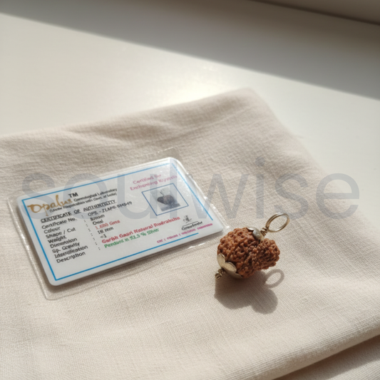 Garbh Gauri Rudraksha Silver Pendant – Divine Protection & Blessings for Fertility, Motherhood & Positive Energy