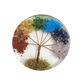 7 Chakra Tree of Life Coaster