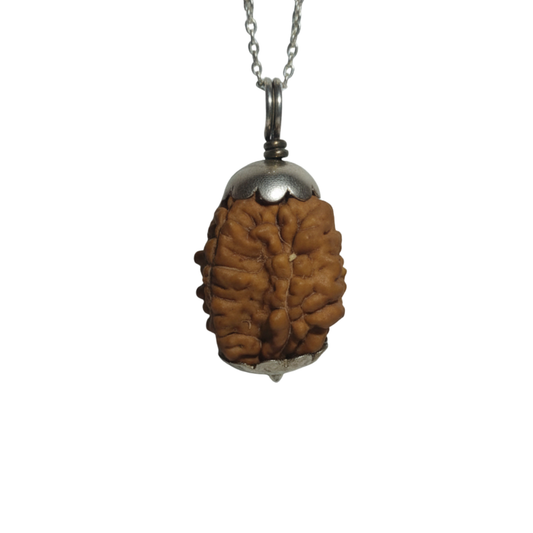 2 Mukhi Nepali Rudraksha Silver Pendant – Original Do Mukhi Bead for Relationship Harmony, Unity & Emotional Balance (Without Chain)