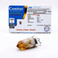 Natural Raw Citrine Pendant – Attract Abundance, Positivity & Success