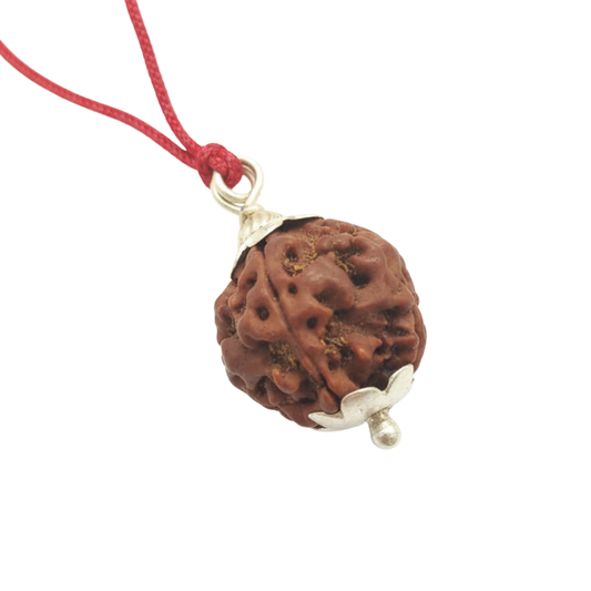4 Mukhi Nepali Rudraksha Silver Pendant – Original Chaar Mukhi Bead for Wisdom, Knowledge & Communication (Without Chain)