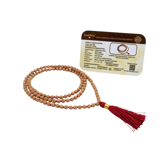 2mm Rudrani mala (108 Beads)for meditation and concentration.