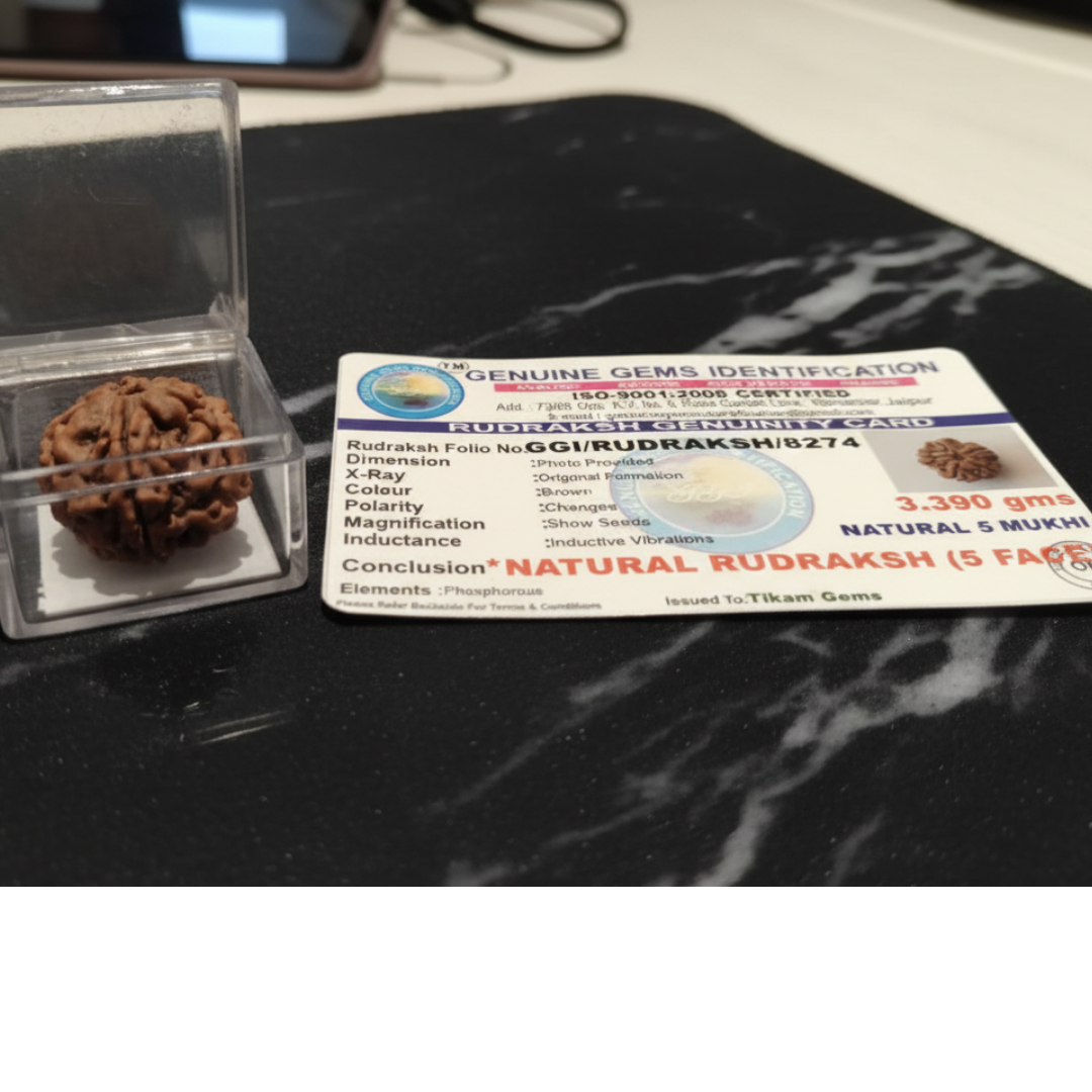 Soulwise Premium 5 Mukhi Rudraksha | Natural & Lab Certified | Energized for Health & Spiritual Power | Comes in Box.