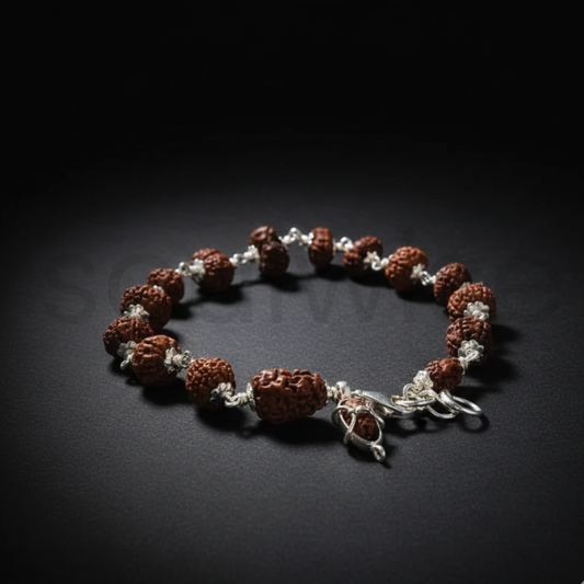 1 to 14 Mukhi Sarv Siddha Rudraksha Bracelet in Pure Silver | Natural Multi-Face Rudraksha for Spiritual Growth, Protection & Positivity | Energized & Blessed