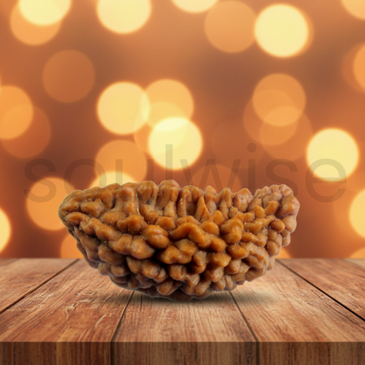 Natural 1 Mukhi Rudraksha (Kaju Shape) | Ek Mukhi Rudraksha for Peace, Focus & Spiritual Growth | Energized & Ready to Wear.