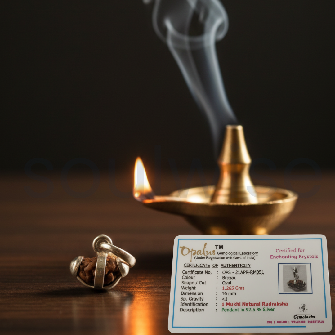 1 Mukhi Indonesian Rudraksha Silver Pendant (Without Chain) – Ek Mukhi Divine Energy Bead