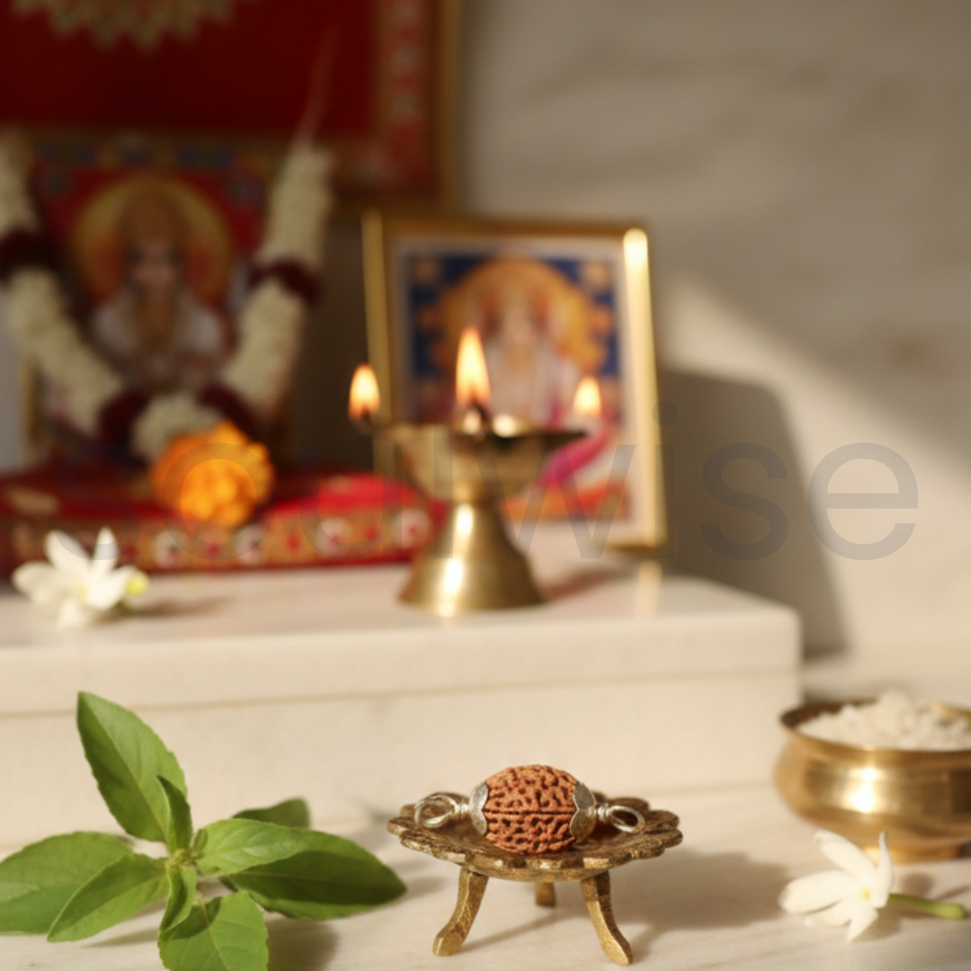 Original 3 Mukhi Indonesian Rudraksha Silver Pendant (Without Chain) – Teen Mukhi Agni Energy Bead – Indonesia Origin