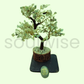 Green Aventurine Tree 9" with Zibu Coin for Prosperity, Success, Business Growth