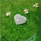 Selenite Heart Shaped Crystal