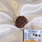 Certified 5 Mukhi Rudraksha Pendant for Men & Women | Natural Panch Mukhi Bead with Silver-Plated Holder.