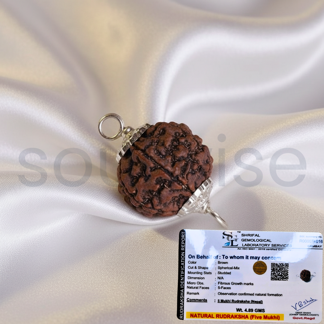 Certified 5 Mukhi Rudraksha Pendant for Men & Women | Natural Panch Mukhi Bead with Silver-Plated Holder.