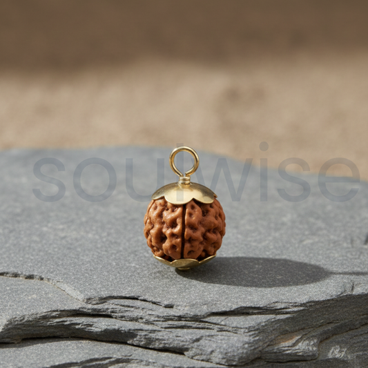 5 Mukhi Indonesian Rudraksha Silver Pendant – Certified Natural Panch Mukhi Bead for Health, Peace & Positive Energy