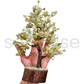 Green Aventurine Crystal Tree - Good Luck Showpiece - Home Decor Items 8-10 Inch