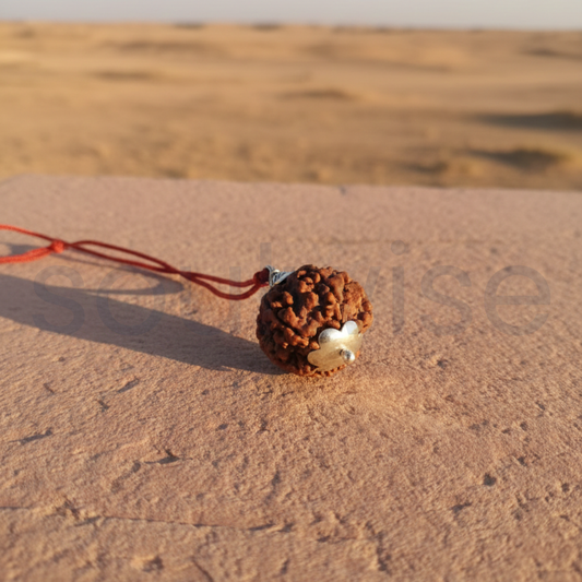 Original 5 Mukhi Rudraksha Silver Pendant (Big Size with Certificate) – Panch Mukhi Spiritual Power Bead