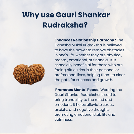 Gauri Shankar Rudraksha