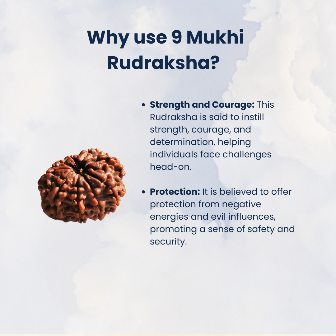 9 Mukhi Rudraksha