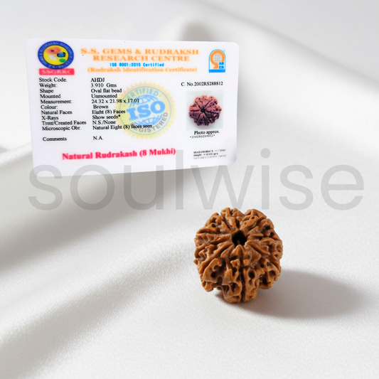 8 Mukhi Nepali Rudraksha Bead – Certified Natural Ashta Mukhi Rudraksha for Obstacle Removal, Success & Positive Energy