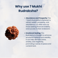 7 Mukhi Rudraksha