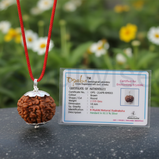 8 Mukhi Indonesian Rudraksha Silver Pendant – Certified Natural Ashta Mukhi Bead for Success, Obstacle Removal & Positive Energy (Unisex)